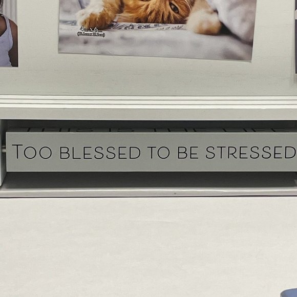 Spin Quotes 6 Clip Wall Collage Picture Frame 16.5"x15"x2.5" Holds 6 Picture NEW - Picture 10 of 13